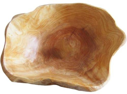 Hintyne Fruttiera ciotole in legno di forma irregolare vassoio decorativo in legno per pane per sandwich ciotole da tavolo