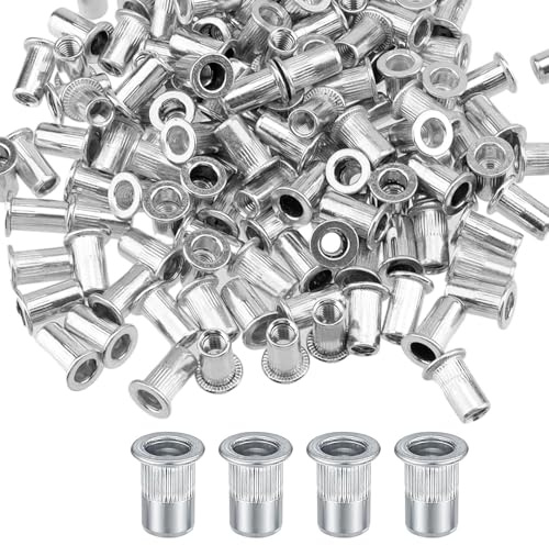 Set di dadi per rivetti ciechi M6, 100 rivetti filettati in acciaio inox, dadi a testa svasata da 15 mm con scatola