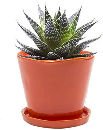 Chive 'Tika' - Macetas de cerámica Bonitas y Hermosas para Flores y Plantas de Interior y Exterior, Grandes (12,7 cm), Color Naranja