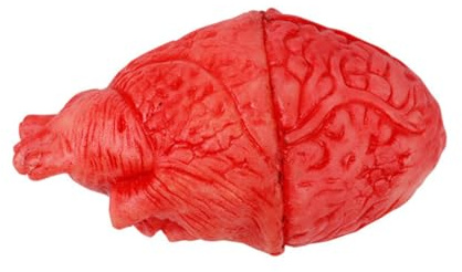 Faux cœur, sanglante Coeur Humain, Parties du Corps Mort, Cœur humain réaliste, morceaux de cadavre sanglant, saignement des cœur, Horreur Prop Partie Accessoires décor pour Halloween maison hantée