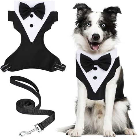 Byffoer Hund Smoking Bandana, Verstellbares Hunde Halsband mit Schleppleine, Hochzeits Hundehalstuch für Kleine, Mittelgroße Hunde, Schwarz, Baumwolle & Polyester, Bow Tie Design