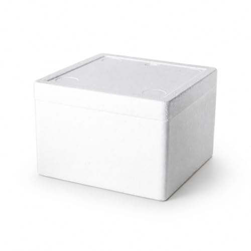Yajuyi Mallette Médicale Isotherme Coffret Thermique Conteneur Réfrigéré Boîte Isolante en Mousse Épaissie à Protection Renforcée et Performante Convient aux, 260mm x 260mm x 170mm