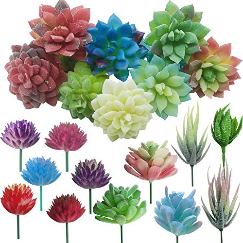 Cayway 20 Stück Künstliche Sukkulenten Mischfarben Unfotted Faux Blume Sukkulenten Künstlich Gemischt für Zuhause Indoor Fairy Garden Dekorationen