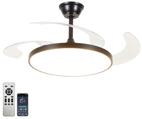 Grande Ventilatore Da Soffitto Con Luce E Telecomando, Reversibile 6 Velocità Lampadario Con Ventilatore Da Soffitto Dimmerabile Lampadario Ventilatore Pale Del Ventilatore Invisibili, Nero 42IN