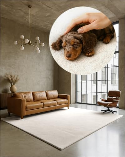 TEXMAXX Weicher Kurzflor Teppich Wohnzimmer mit rutschhemmender Rückseite (140 x 200 cm) - Modern für Flur, Esszimmer und als Schlafzimmer Teppich in Cremeweiß - Waschbar bis 30 Grad