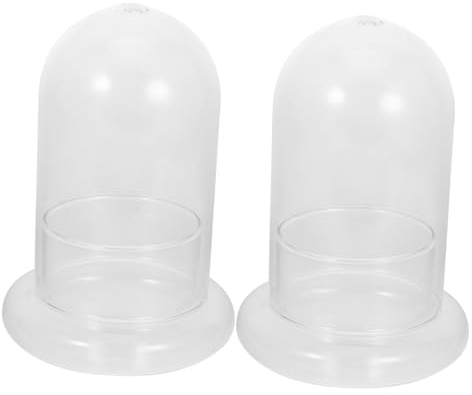 Cabilock Delikat 2pcs Micro Landscape Ökologische Flasche Terrarium Glas Jar Miniatur Dekoration