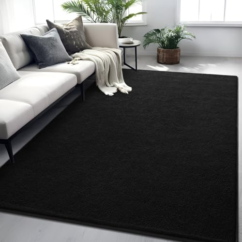 FALARK Rugs for Bedroom Living Room, 4x6 ft Black Area Rug, Washable Memory Foam Indoor Carpet, Modern Aesthetic Minimalist Non-Slip Carpets for Boys Girls Adults Home Decor
