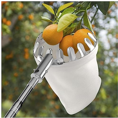 Pince à fruits télescopique – 6 m en acier inoxydable, récolteuse légère pour pommes, poires, cerises, mangues, goyaves, orange, avocats et plus encore