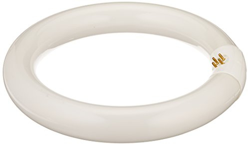 Bulbrite FC8T9WW 22-Watt Circline Fluorescent T9 Bulb, 3000-Kelvin, G10q Base, 8-Inch Diameter, Warm White