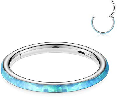 AROWRO 16G Septum Clicker Conch Knorpel Daith Helix Ohrringe Septum Nasenring Conch Helix Hoop Conch Daith Helix Piercing Schmuck Conch Ring Conch Daith Helix Septum Nasenschmuck Chirurgenstahl 10mm