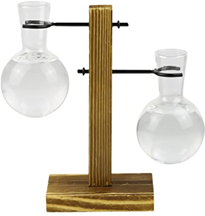 Dysetcs Glas-Pflanzgefäß, Blumenzwiebel-Vase mit Holzständer, Desktop-Pflanzen-Terrarium, Anzuchtstation, Hydrokultur-Pflanzenvasen mit zwei Zwiebeln für Zuhause, Garten, Dekoration, 2 Stück