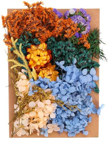PATIKIL Flores Secas Naturales, Varias Flores Prensadas Reales y Coloridas para Manualidades, Velas, Jabones y Scrapbooking, Colores Surtidos