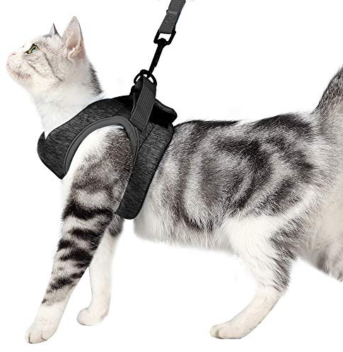 Poiinvc Ausbruchsicheres Katzengeschirr Set mit Katzenleinen, Haltbares Kitten Geschirr und Leine, Komfortabler Halsband-Geschirr-Kombination für Katzen und Kätzchen Grau S