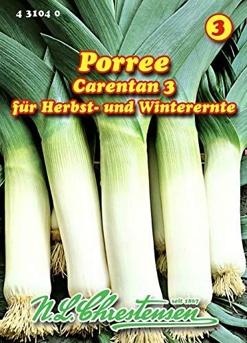 Porree, Carentan 3 spät, Überwinterung N.L.Chrestensen Samen 431040-B