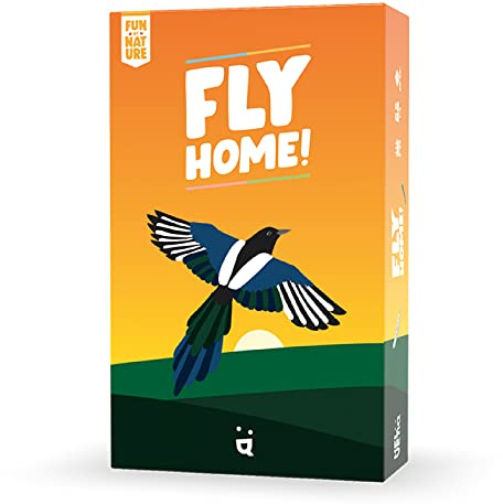 Helvetiq Fly Home | Kartenspiel | Alter 6+ | 2-4 Spieler | 30-60 Minuten Spieldauer