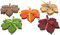 Dekoleidenschaft 20x Herbstlaub Ahorn aus Filz, Ahornblätter, Blätterdeko, Herbstdeko, Dekostreuer, Tischdeko
