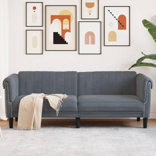 CINDERFUL Sofa 3-Sitzer Dunkelgrau Samt,Hochwertiges 3Sitzer Samtsofa Gemütlicher Rückzugsort für Dein Wohnzimmer Möbel, Wohnzimmer