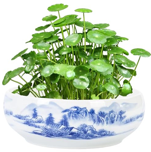 Licsaliwe Ceramic Plant Pot, Lotus Bowl Planter with Floral Pattern, 6.8x2.8 Inch Lotus Bowl with Anti-Slip Bottom for Tea Pets, Teacups Storing & Washing(Style1)