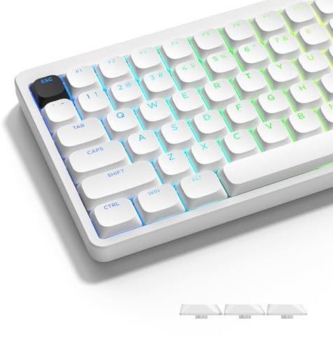 LQXQ Low Profile Keycaps Transparent, ANSI US/ISO UK, PBT | Custom Keycaps, for 60% 65% 75% 80% 100% Mechanical Keyboard, White