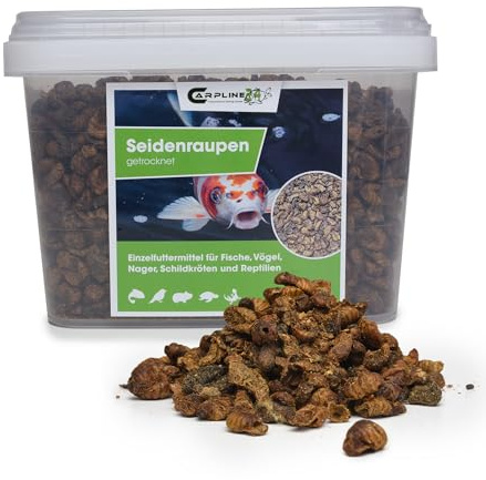 Carpline24 Getrocknete Seidenraupen 1 kg - Proteinreiche Insekten als Futter für Vögel, Koi, Reptilien, Igel & Nager, Vogelfutter, Fischfutter