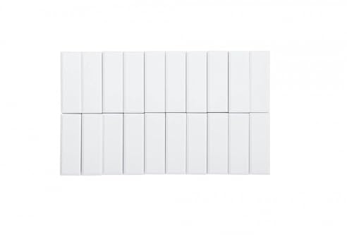 MAUL Rechteckmagnete weiß MAULpro 20 Stück 1 kg Haftkraft bruchsicher | zuverlässig für Notizen, dezente Optik, lackierte Oberfläche, ideal für Büro Schule Planung, handliches Format