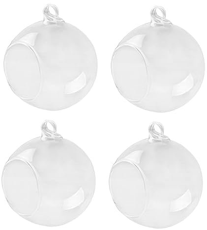 PRETYZOOM Lot de 4 Vases Boule en Verre Suspendus 100 MM pour Terrarium Décoration de Mariage et Maison Verre Borosilicate pour Plantes et Mini