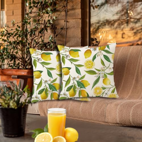 SKIPTHYBER Outdoor Kissenbezüge 2 Stück 40 x 40 cm Dekorative Outdoor Kissen Gelb Zitronen Kissenhüllen Wetterfest Sofakissen Dekokissen Gartenkissen Couchkissen Zuhause Dekoration