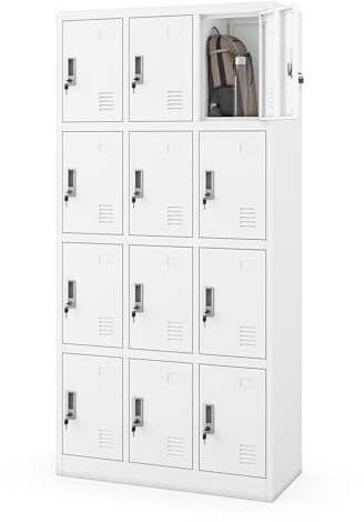 Jan Nowak Armoire à casiers métallique 12 Cases, casier vestiaire collectif verrouillable, Armoire vestiaire Personnel avec Ventilation et Porte étiquette, 185 x 90 x 40 cm