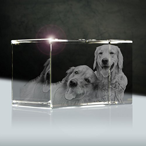 3Dglas Glasportrait vom Foto (3D) | Quader 90mm | 1 bis 3 Personen oder Tiere zB als Geschenk für Paare mit Hund