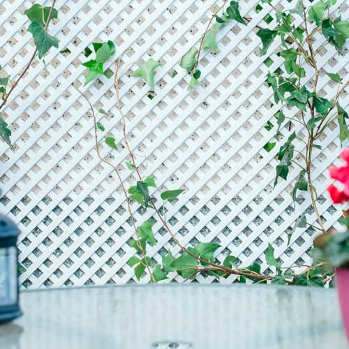 CELOSIA PVC 18 MM. 0.60X1.15 M BLANCO NORTENE