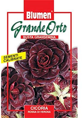 BLUMEN SEMENTI, CICORIA ROSSA DI VERONA