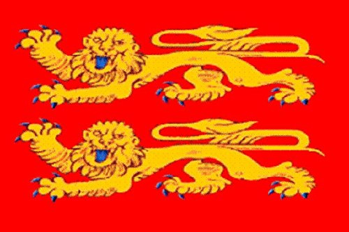 U24 Drapeau Normandie - Qualité supérieure - 20 x 30 cm