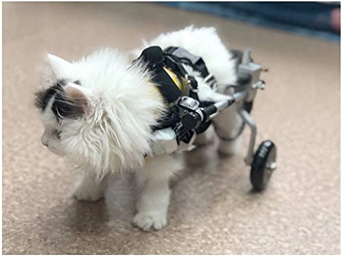 REMEK Hund Rollstuhl Für Hinterbeine, 2 Räder Einstellbare Hunderollstuhl Für Haustiere Rehabilitation Kleine Hunde Rollwagen Gehhilfe Hundegehilfe Für Behinderte Hund Gehweg Auto
