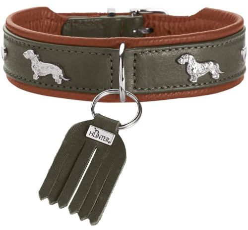 Hunter Teckel-Halsband MÜNCHEN, Farbe: grün/Cognac, Leder, edle Dackel-Besätze, weich und robust, fellschonend, luxuriös, ökologisch hergestellt, nachhaltig, Made in Germany, Größe: 37