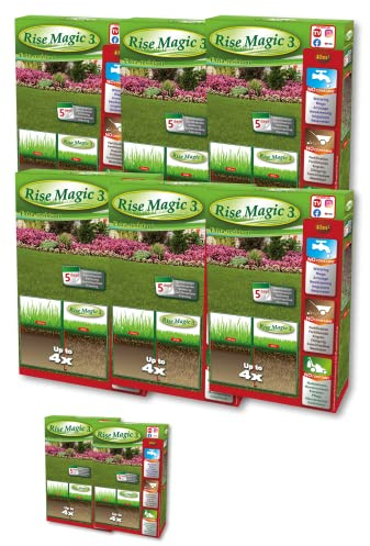 Rise Magic 3-8er Pack Rasensamen - 480m² - 2 Packungen Gratis - Keimung 10 Tage - Bio & Ökologisch - Kältebeständig - Bestes Preis-Leistungs-Verhältnis