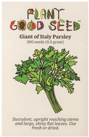 Plant Good Seed Organic Giant of Italy Parsley Seeds: 200 Count
