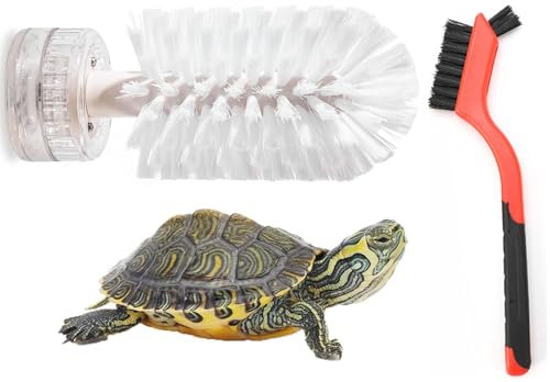 Schildkrötenbürste mit Saugnapf - Turtle Scrub Brush Reinigungsbürste für den Rückenpanzer von Schildkröten Rotwangen Schmuckschildkröten Aquariumzubehör