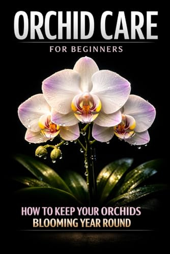 Orchid Care for Beginners: How to Keep Your Orchids Blooming Year-Round