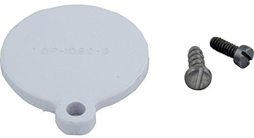 Hayward SPX1090GA Skimmer égaliseur