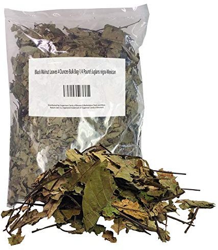 Black Walnut Leaves 4 Ounces-Bulk Bag-1/4 Pound-Juglans nigra-Mexican