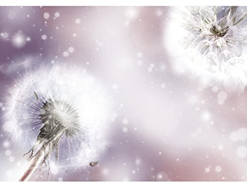 Runa Art Fototapete Blumen Pusteblume 352 x 250 cm Vlies Tapeten XXL Moderne Wandtapete Wohnzimmer Schlafzimmer Violett 9401011b