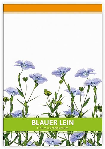 FLORTUS Blauer Lein als Gastgeschenke | Blumensamen als Dankeschön Geschenke, Mitgebsel & Werbegeschenke | Bienenfreundliches Saatgut
