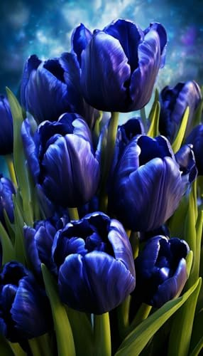 Gift,3 years,Mehrjährige Blumenzwiebel ist winterhart,Tulpen Pflanzen,Mysteriöse magische Glühbirne,Blumenzwiebel Mix-5 Tulpenzwiebeln-C