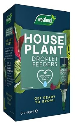Westland 20100549 Ready to Use Houseplant Droplet Feeders, 6 Pack