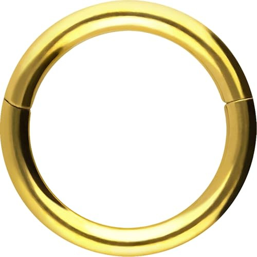 PIERCINGLINE Segmentring Clicker aus Chirurgenstahl - Piercing Ring in Gold, Silber, Rose, Schwarz oder Blau - für Nase, Septum, Ohr, Helix oder Tragus