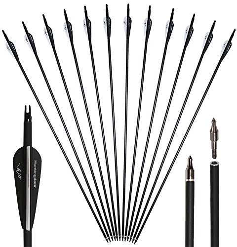 Huntingdoor 12er Pack 30 Zoll Carbonpfeile Jagdpfeile mit Vanes und drehbare Nocken 550 Spine Pfeile für bogenschießen für Recurvebogen Compoundbogen Langbogen Zielübungen im Freien (SCHWARZ)
