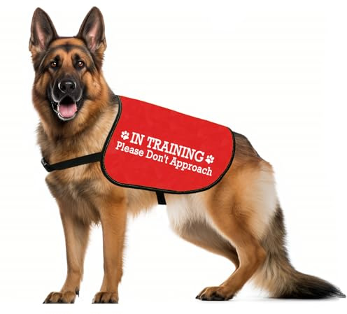 Nervous Do Not Approach Hundejacke, Weste, Nervöse Rettungswelt, Hundeweste, Hundespaziergang, Slogan, Warnweste (Trainingsansatz, M)