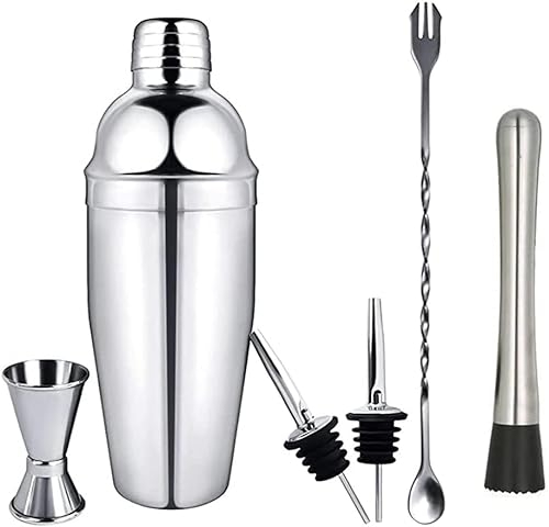 QXSJEDYCH Juego de coctelera de Acero Inoxidable, coctelera de Martini de 6 Piezas, coctelera for Bebidas, Kit de Barman con Jigger medidor, Cuchara mezcladora Bares (Size : 550ml Set)