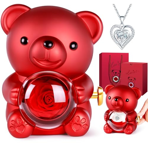 Aloskart Ours Rose Eternelle Boîte à Bijoux Cachée - Cadeau Unique et Élégant pour Femme : Saint-Valentin, Anniversaire, Fête des Mères, Noël, Mariage(chaîne argentée)