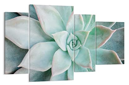 Mehrteilige Bilder auf Leinwand Blau Blätter Agave Leinwandbild 120x70cm Wandbilder Dekoration Wohnzimmer Schlafzimmer Set 4 teilige Groß Wanddeko Bild Wand Kunstdruck Art Decor Canvas DL120x70-4628